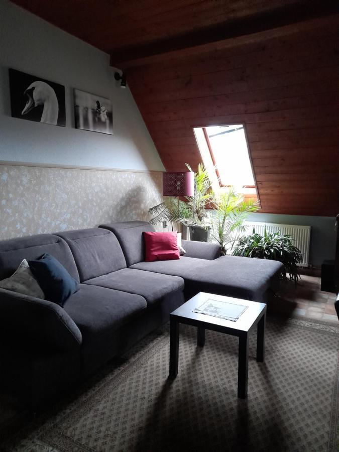 Agave Apartman Velence Exterior photo